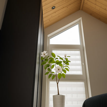 BG02 – Vakantiehuisje met loft (35 m²) en panoramisch daklicht